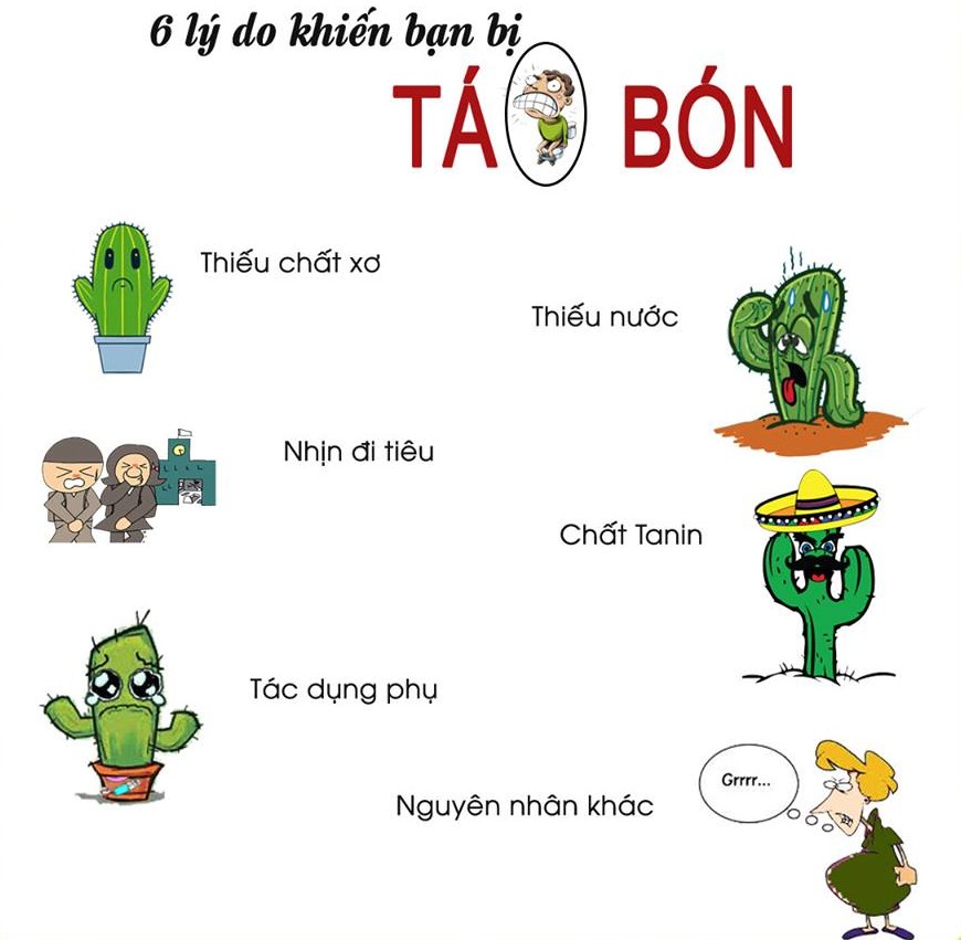 Phát hiện ra tác dụng của hạt chia trị táo bón cực hay