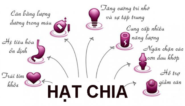 Uống hạt chia nhiều có tốt không