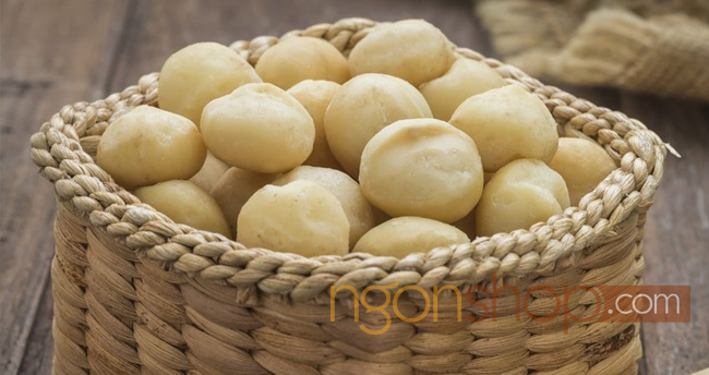 Công dụng của hạt macadamia