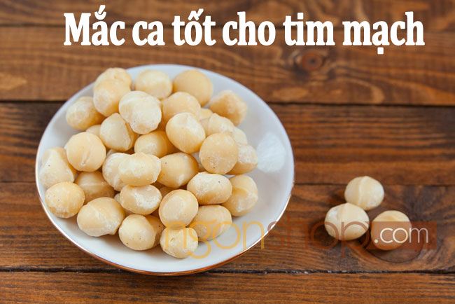 hạt mắc ca là hạt gì