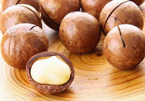 hạt mắc ca là gì