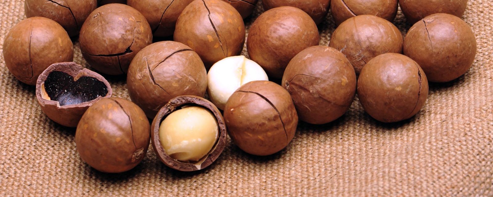 hạt mắc ca úc mua ở đâu