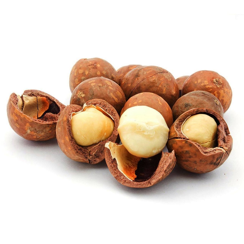 hạt mắc ca úc mua ở đâu