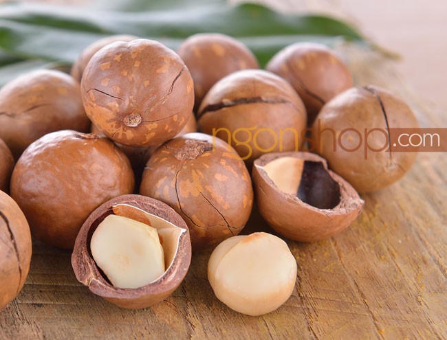 nơi bán hạt mắc ca úc
