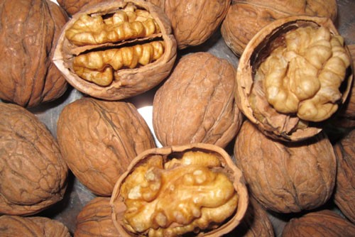 nơi bán quả óc chó