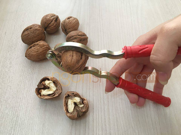 nơi bán quả óc chó