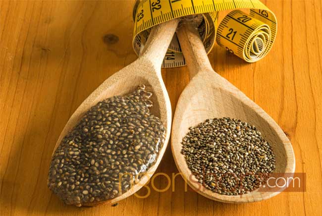 Hạt chia giúp giảm cân hiệu quả