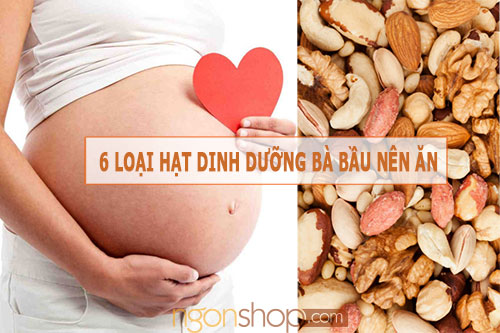 6-loai-hat-ba-bau-nen-an-ckn-500