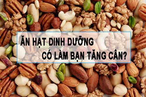 an-hat-dinh-duong-co-lam-ban-tang-can-ckn