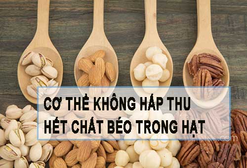 co-the-khong-hap-thu-het-chat-beo-tu-hat-ckn